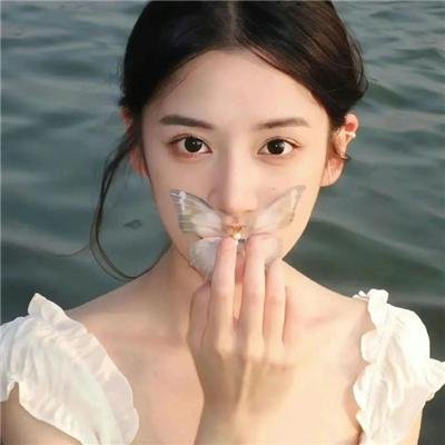 丹美的电影宇宙